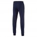 Брюки ESS No.1 Sweat Pants, TR, cl