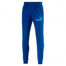 Брюки ESS No.1 Sweat Pants, TR, cl