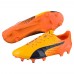Бутсы evoSPEED 17 SL S FG Бутсы evoSPEED 17 SL S FG