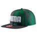 Кепка ESS Flatbrim Cap Кепка ESS Flatbrim Cap