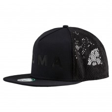 Кепка PUMA EVOLUTION SB