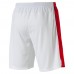 Шорты AFC Replica Shorts with Innerslip Шорты AFC Replica Shorts with Innerslip