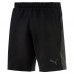Шорты Evostripe DryVent Shorts