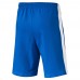 Шорты FIGC Italia Fanwear Bermudas Шорты FIGC Italia Fanwear Bermudas
