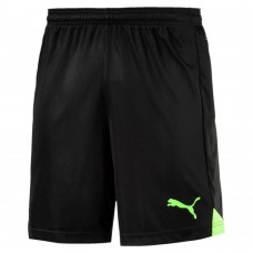 Шорты ftblTRG Shorts
