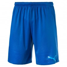 Шорты IT evoTRG Shorts Touch Шорты IT evoTRG Shorts Touch