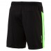 Шорты IT evoTRG Shorts