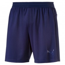 Шорты IT evoTRG Shorts Шорты IT evoTRG Shorts