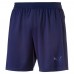 Шорты IT evoTRG Shorts